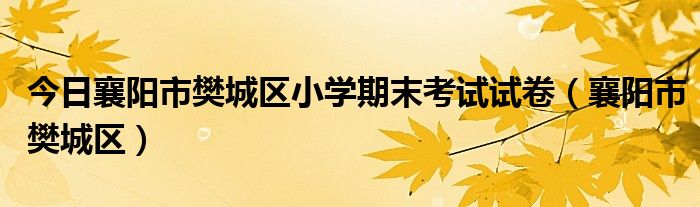 今日襄阳市樊城区小学期末考试试卷（襄阳市樊城区）