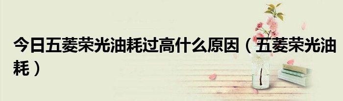 今日五菱荣光油耗过高什么原因（五菱荣光油耗）