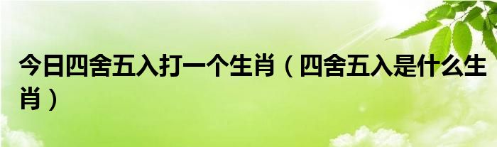 今日四舍五入打一个生肖（四舍五入是什么生肖）