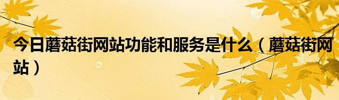 今日蘑菇街网站功能和服务是什么（蘑菇街网站）
