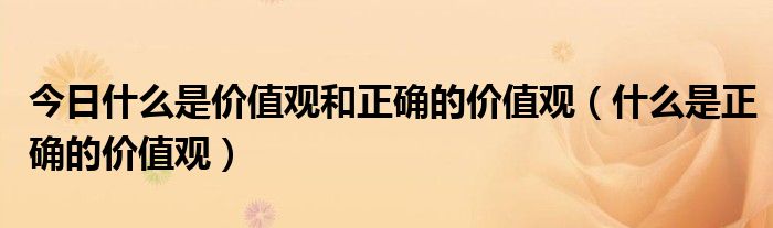 今日什么是价值观和正确的价值观（什么是正确的价值观）