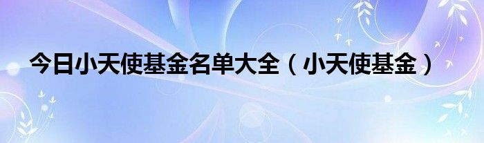 今日小天使基金名单大全（小天使基金）