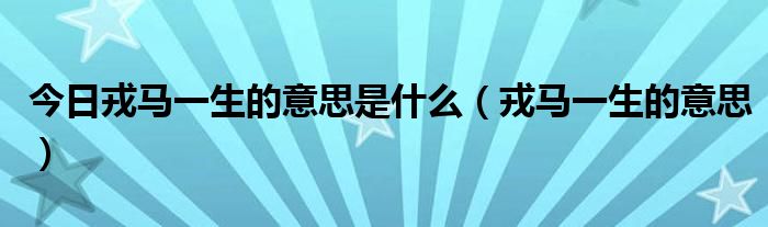 今日戎马一生的意思是什么（戎马一生的意思）