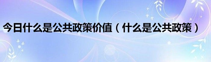 今日什么是公共政策价值（什么是公共政策）