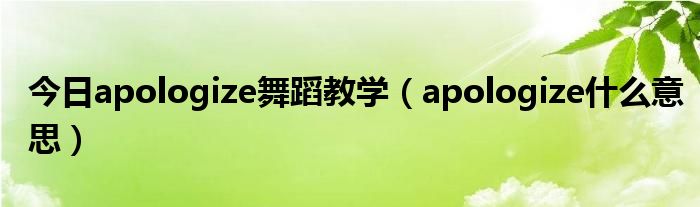 今日apologize舞蹈教学（apologize什么意思）