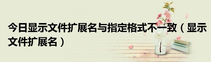 今日显示文件扩展名与指定格式不一致（显示文件扩展名）