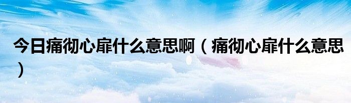 今日痛彻心扉什么意思啊（痛彻心扉什么意思）