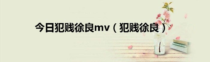 今日犯贱徐良mv（犯贱徐良）
