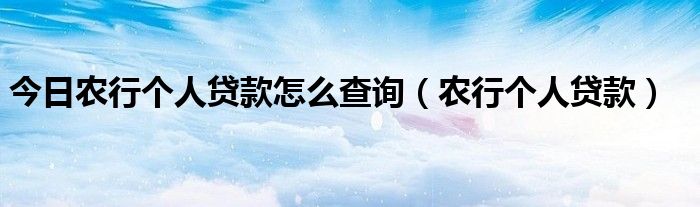 今日农行个人贷款怎么查询（农行个人贷款）