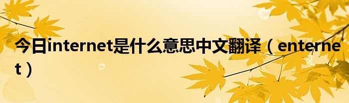 今日internet是什么意思中文翻译（enternet）