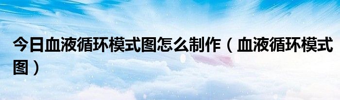 今日血液循环模式图怎么制作（血液循环模式图）