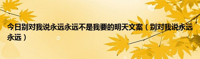 今日别对我说永远永远不是我要的明天文案（别对我说永远永远）