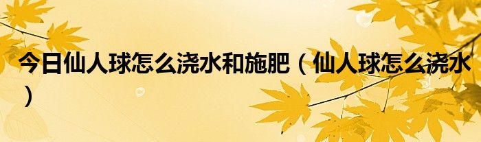 今日仙人球怎么浇水和施肥（仙人球怎么浇水）