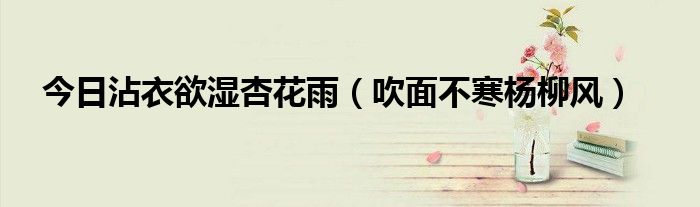 今日沾衣欲湿杏花雨（吹面不寒杨柳风）