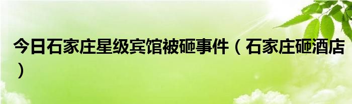 今日石家庄星级宾馆被砸事件（石家庄砸酒店）