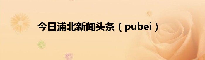 今日浦北新闻头条（pubei）