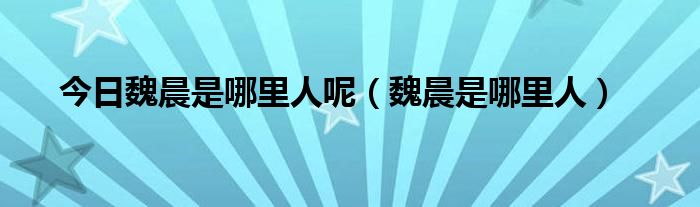 今日魏晨是哪里人呢（魏晨是哪里人）