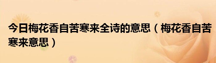 今日梅花香自苦寒来全诗的意思（梅花香自苦寒来意思）