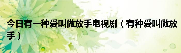 今日有一种爱叫做放手电视剧（有种爱叫做放手）
