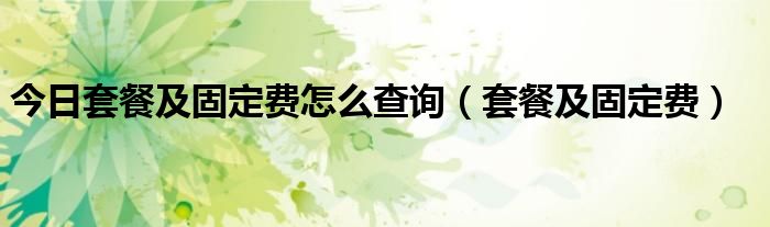 今日套餐及固定费怎么查询（套餐及固定费）