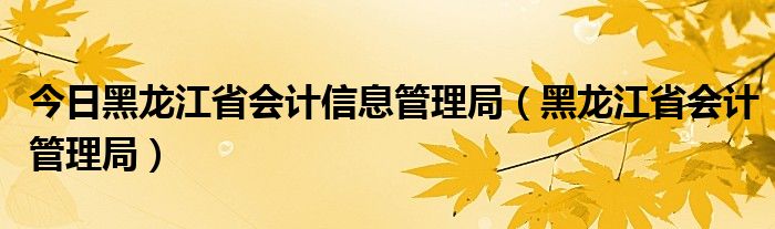 今日黑龙江省会计信息管理局（黑龙江省会计管理局）