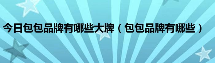 今日包包品牌有哪些大牌（包包品牌有哪些）