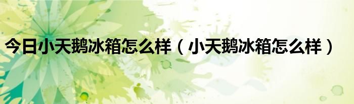 今日小天鹅冰箱怎么样（小天鹅冰箱怎么样）