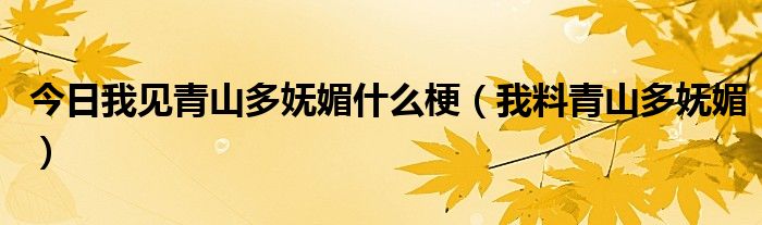 今日我见青山多妩媚什么梗（我料青山多妩媚）