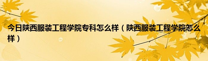 今日陕西服装工程学院专科怎么样（陕西服装工程学院怎么样）