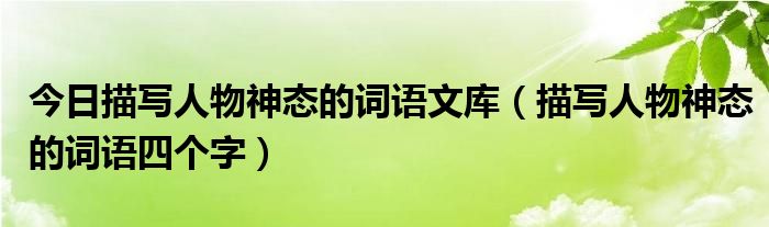 今日描写人物神态的词语文库（描写人物神态的词语四个字）