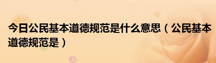 今日公民基本道德规范是什么意思（公民基本道德规范是）
