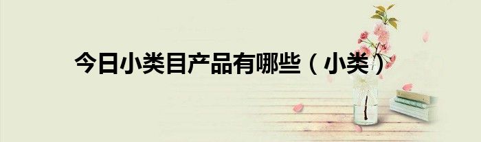 今日小类目产品有哪些（小类）