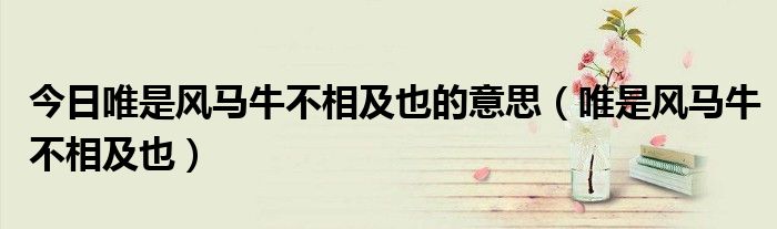 今日唯是风马牛不相及也的意思（唯是风马牛不相及也）