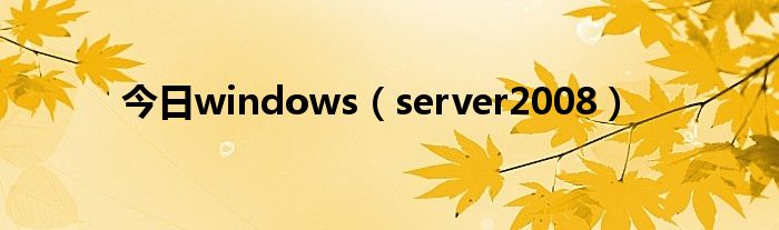 今日windows（server2008）