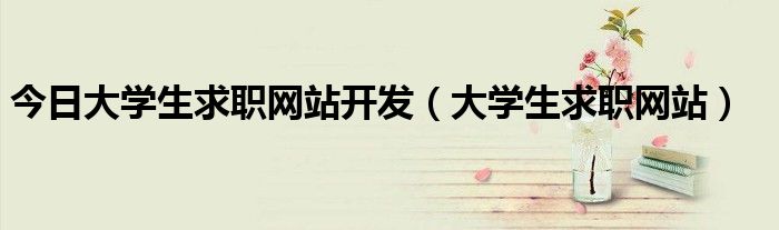 今日大学生求职网站开发（大学生求职网站）