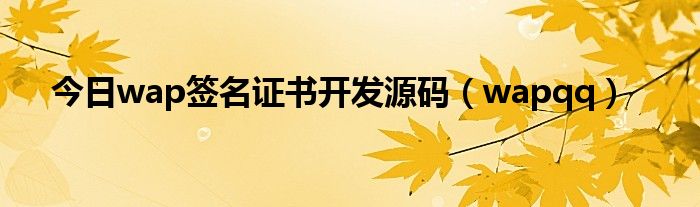 今日wap签名证书开发源码（wapqq）
