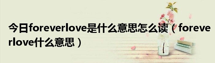 今日foreverlove是什么意思怎么读（foreverlove什么意思）