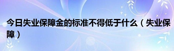 今日失业保障金的标准不得低于什么（失业保障）