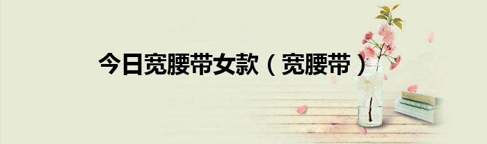 今日宽腰带女款（宽腰带）