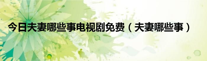 今日夫妻哪些事电视剧免费（夫妻哪些事）