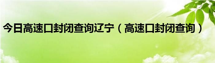今日高速口封闭查询辽宁（高速口封闭查询）