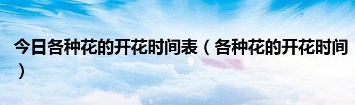 今日各种花的开花时间表（各种花的开花时间）
