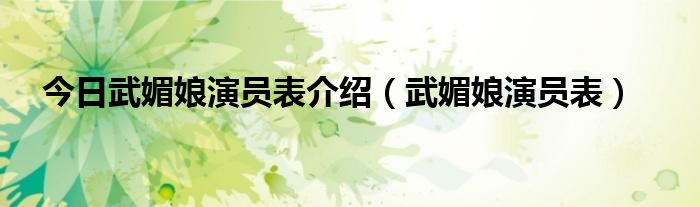 今日武媚娘演员表介绍（武媚娘演员表）