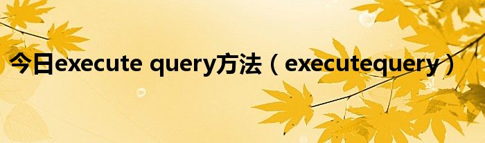 今日execute query方法（executequery）