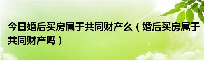 今日婚后买房属于共同财产么（婚后买房属于共同财产吗）