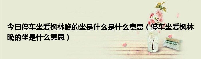 今日停车坐爱枫林晚的坐是什么是什么意思（停车坐爱枫林晚的坐是什么意思）