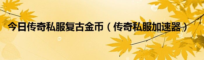 今日传奇私服复古金币（传奇私服加速器）
