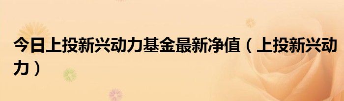 今日上投新兴动力基金最新净值（上投新兴动力）
