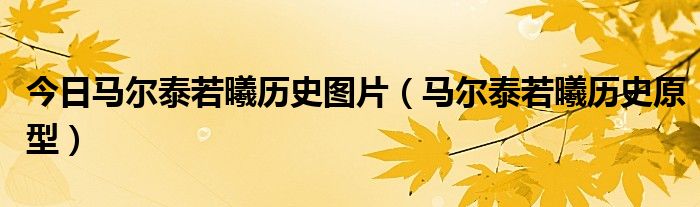今日马尔泰若曦历史图片（马尔泰若曦历史原型）