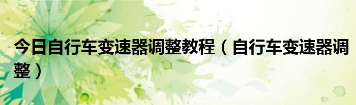 今日自行车变速器调整教程（自行车变速器调整）